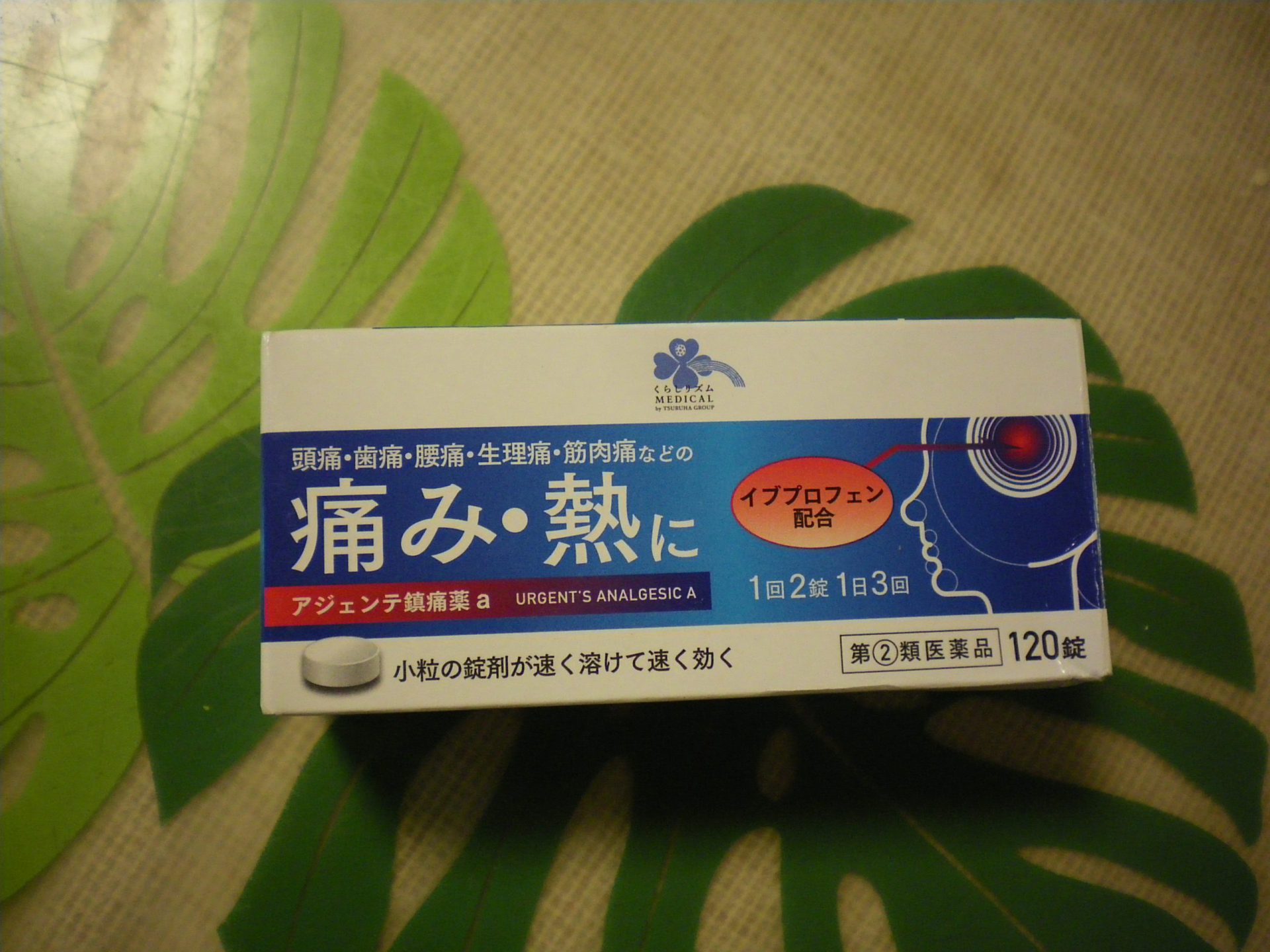 イヴ