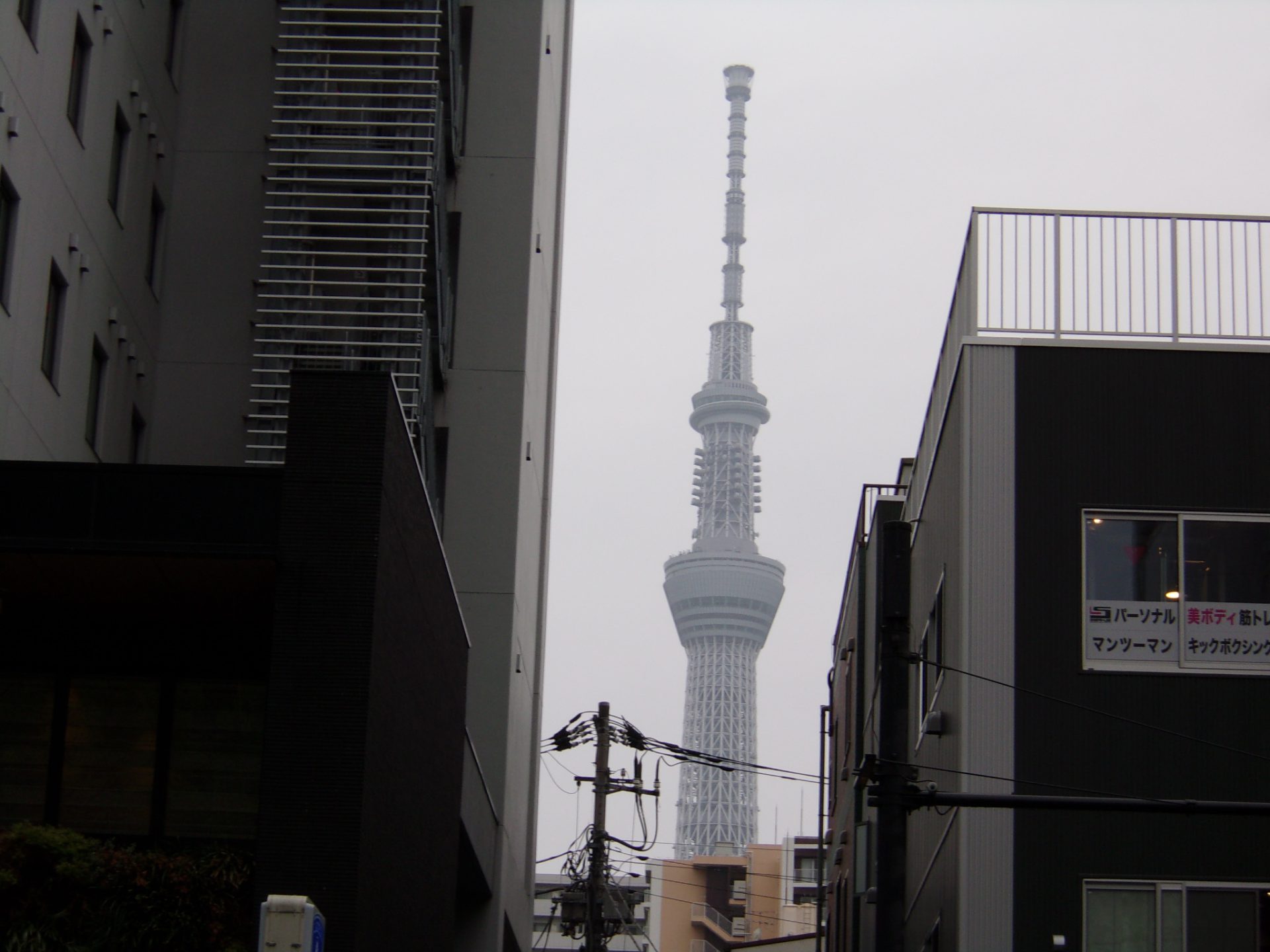 東京　お見合