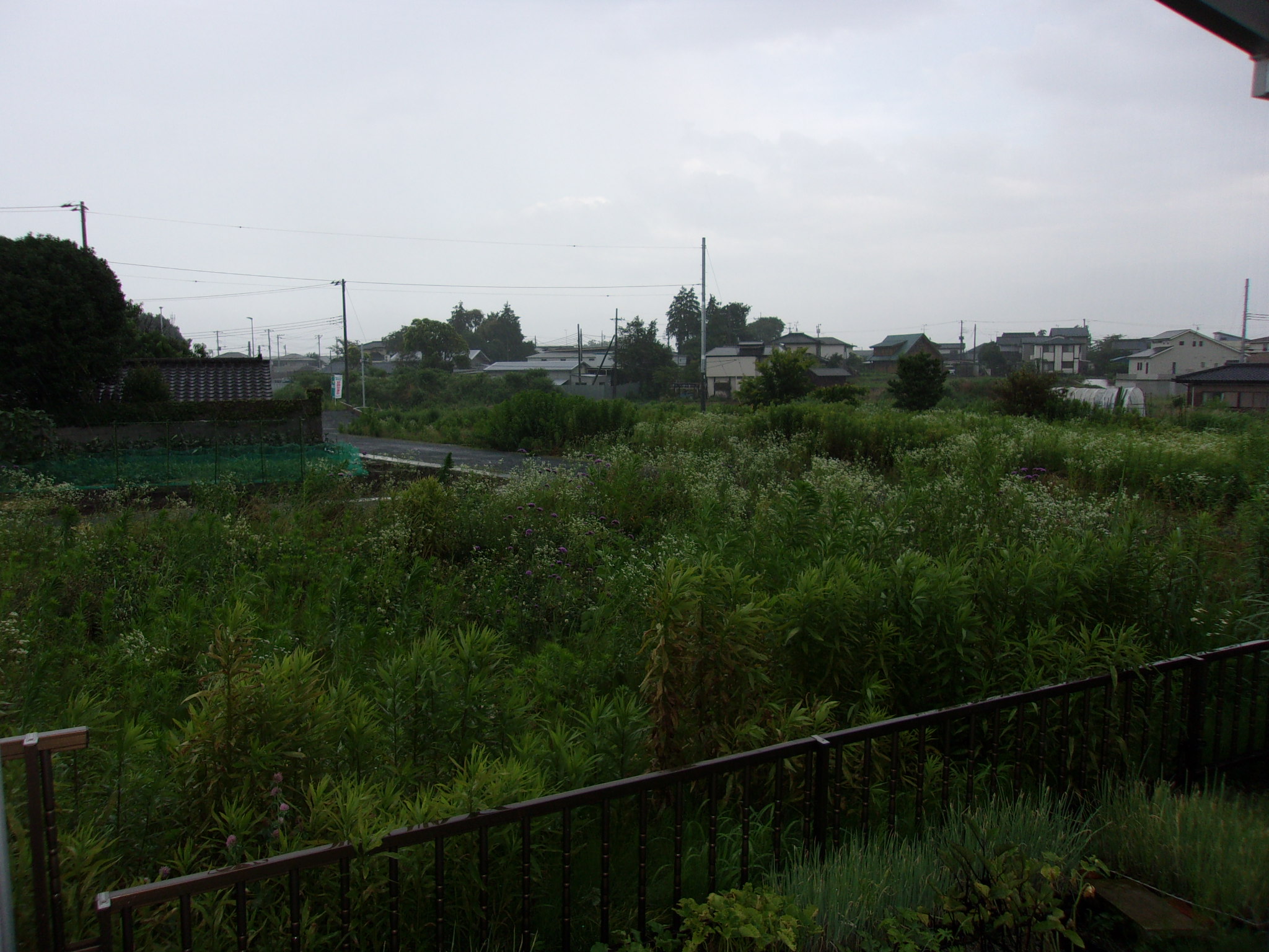 雷雨　大雨　230630